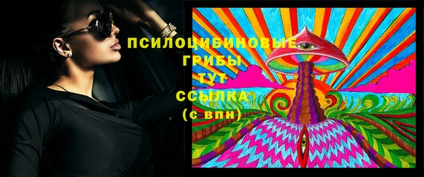 таблы Каменногорск